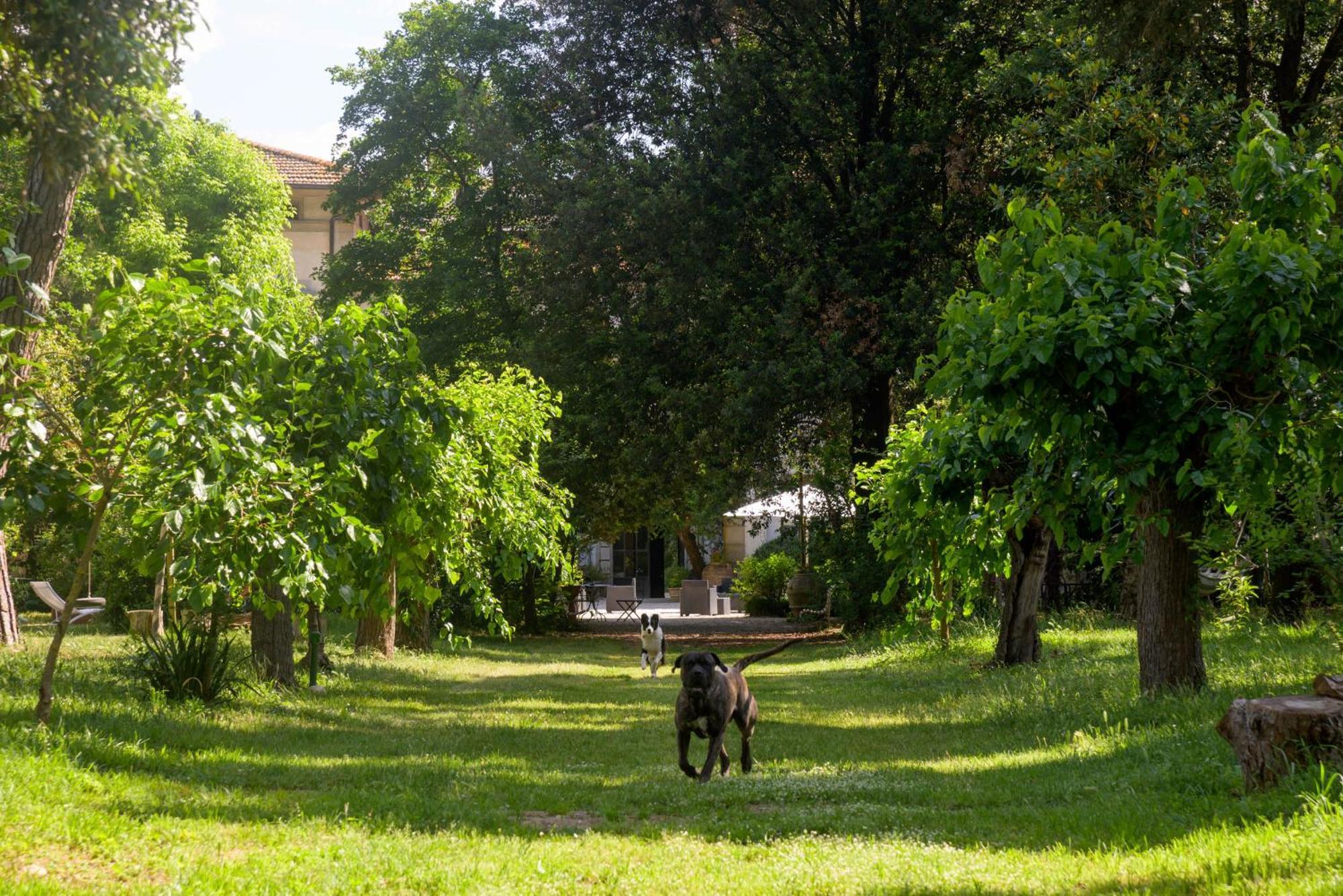 La Dimora Dell'Artista Hotel Perugia Bagian luar foto